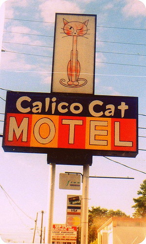 Calico Cat Motel